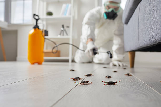 Commercial Kitchen Cockroach Control in Doniphan